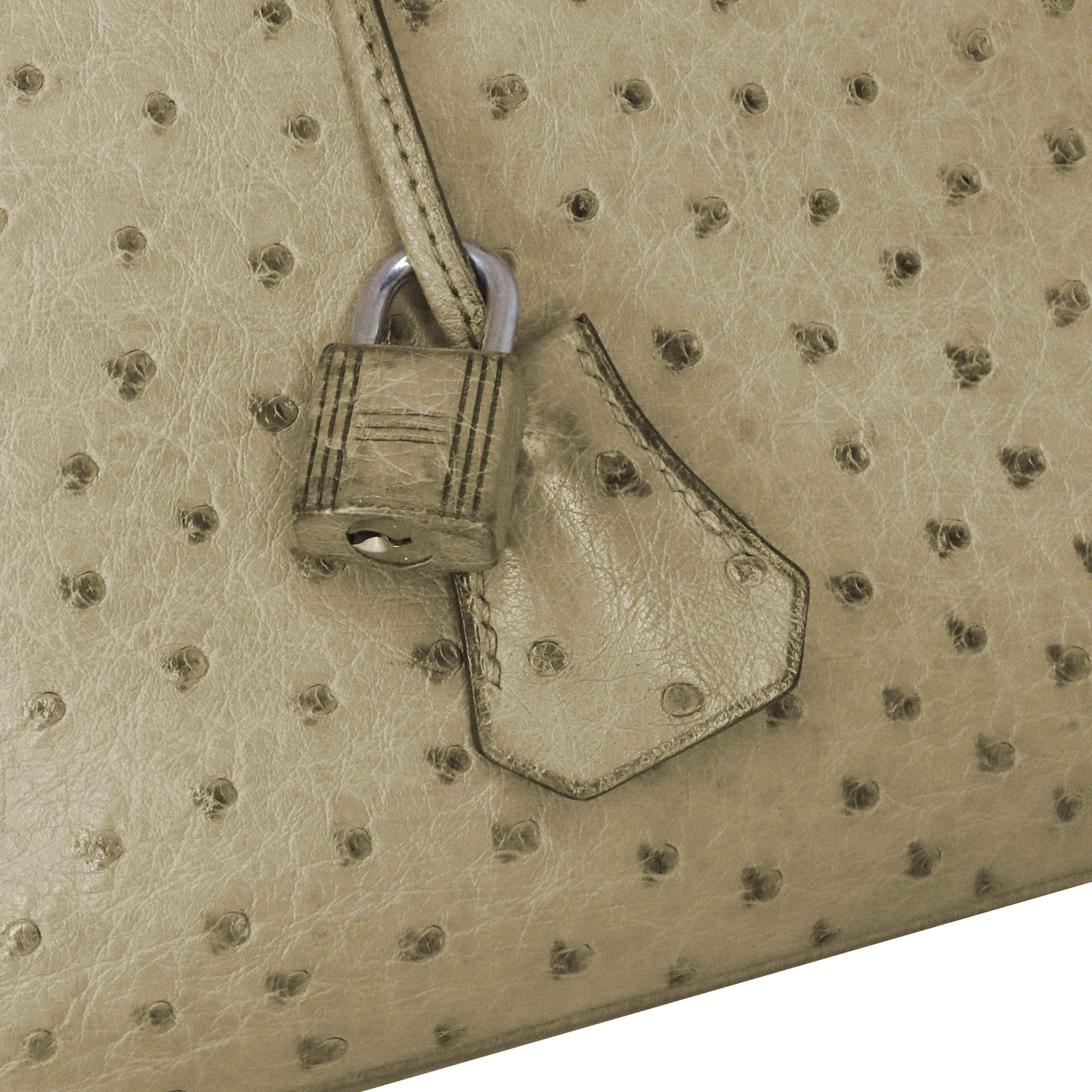 Hermes Birkin 35 Ostrich Gris PHW