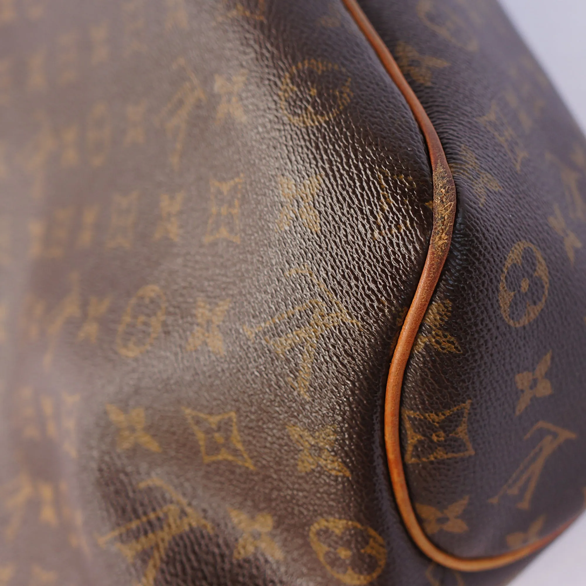 LOUIS VUITTON MONOGRAM DELIGHTFUL PM HOBO SHOULDER BAG