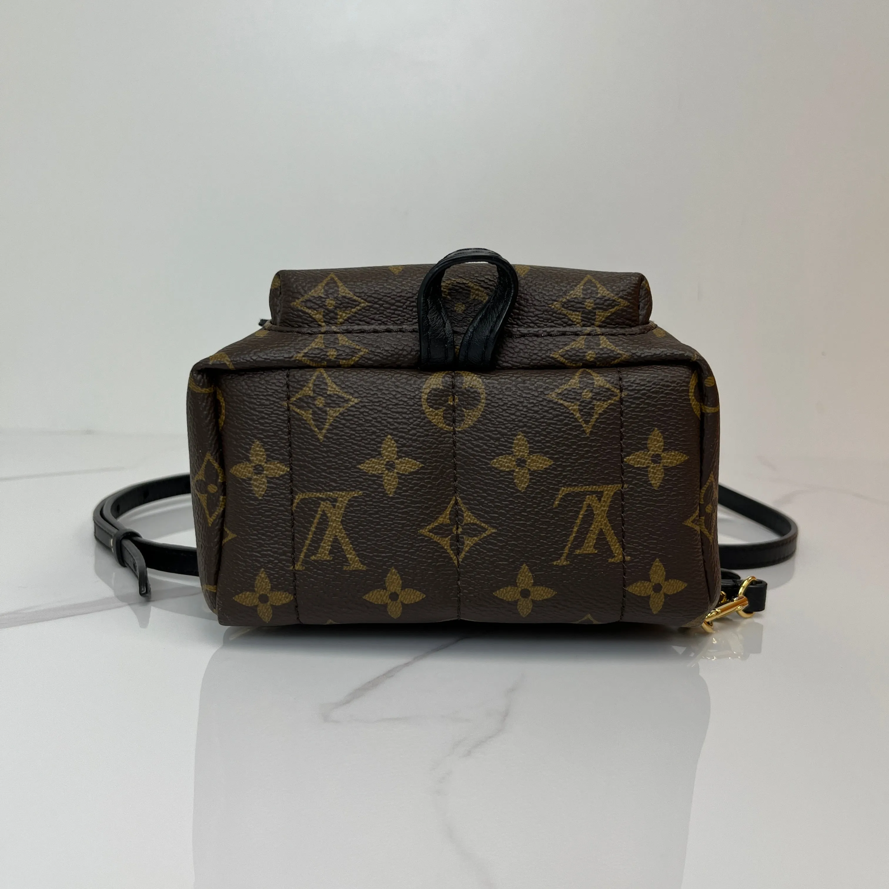 Louis Vuitton Palm Springs Mini