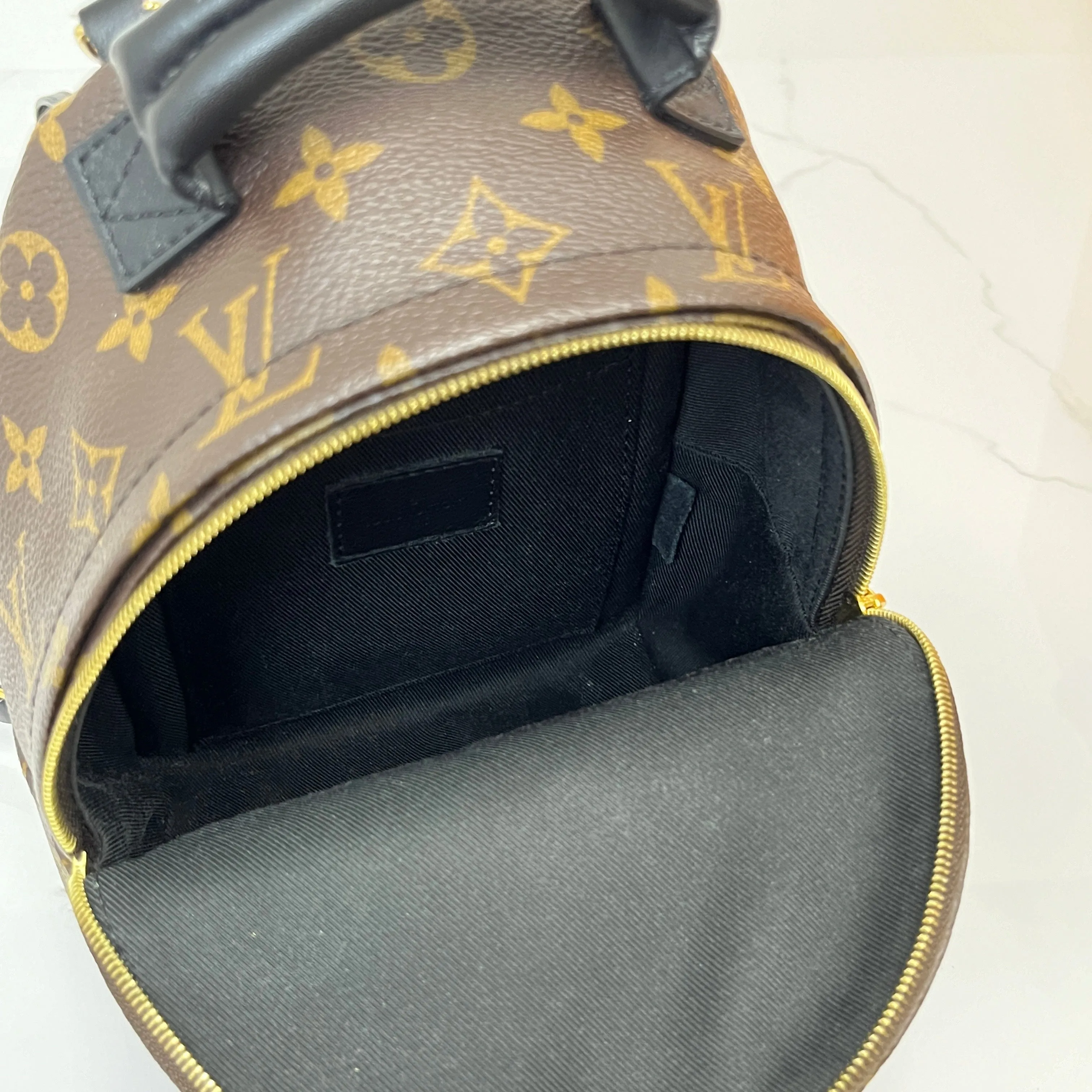 Louis Vuitton Palm Springs Mini