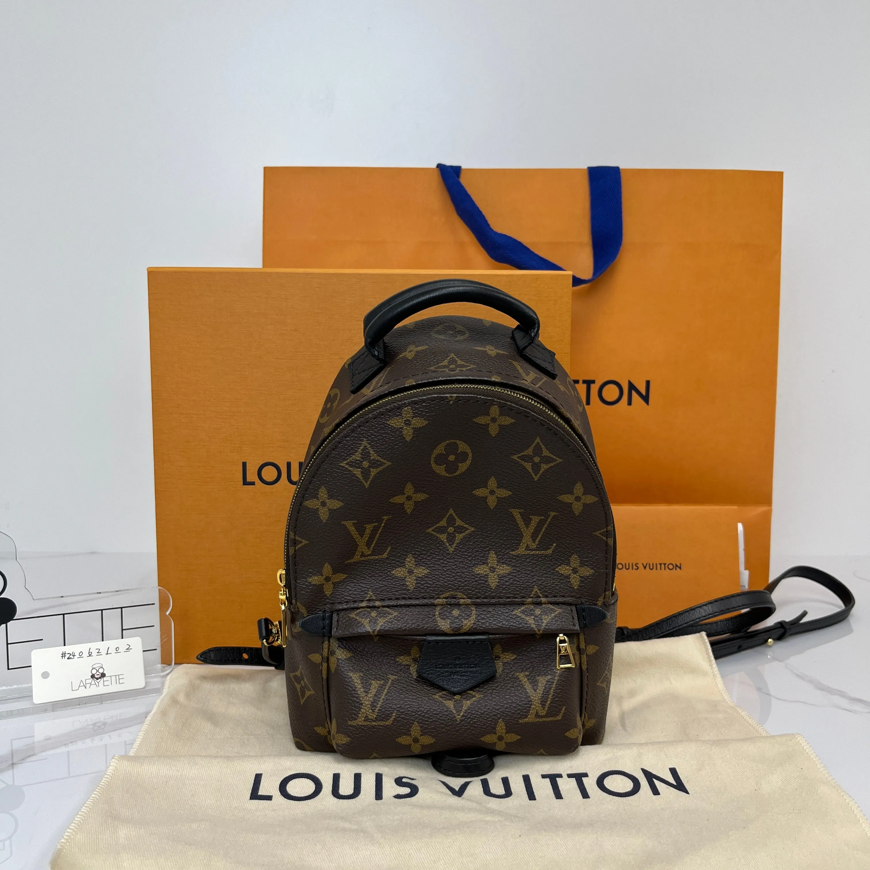 Louis Vuitton Palm Springs Mini