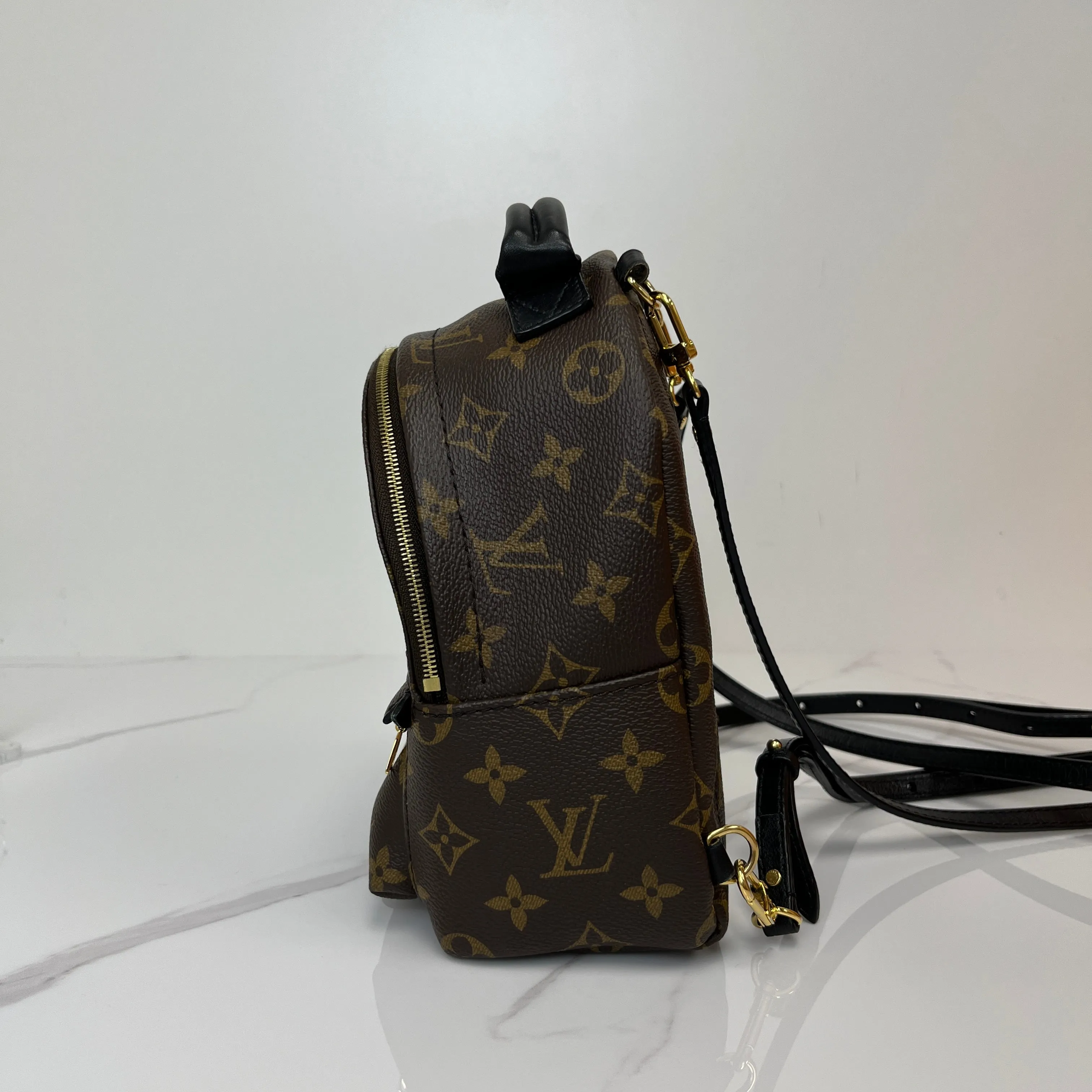 Louis Vuitton Palm Springs Mini