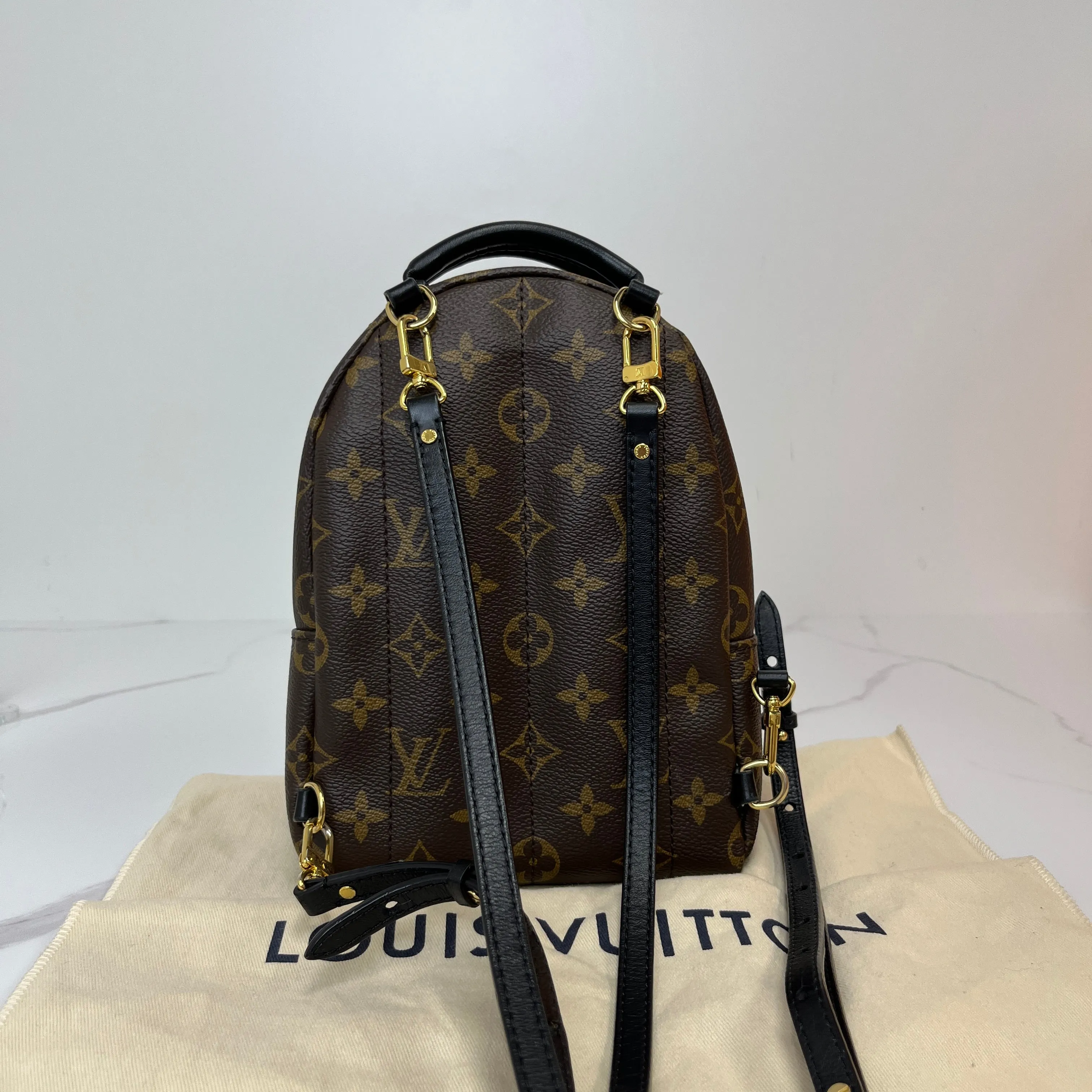 Louis Vuitton Palm Springs Mini