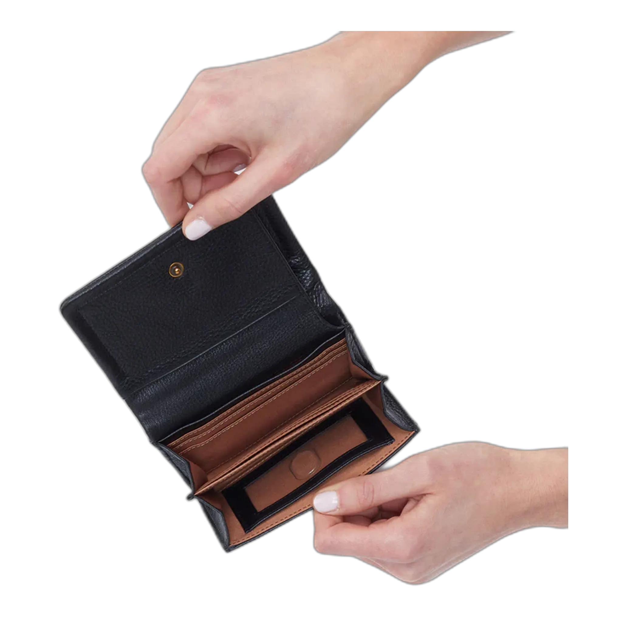 Lumen Medium Bifold Compact Wallet