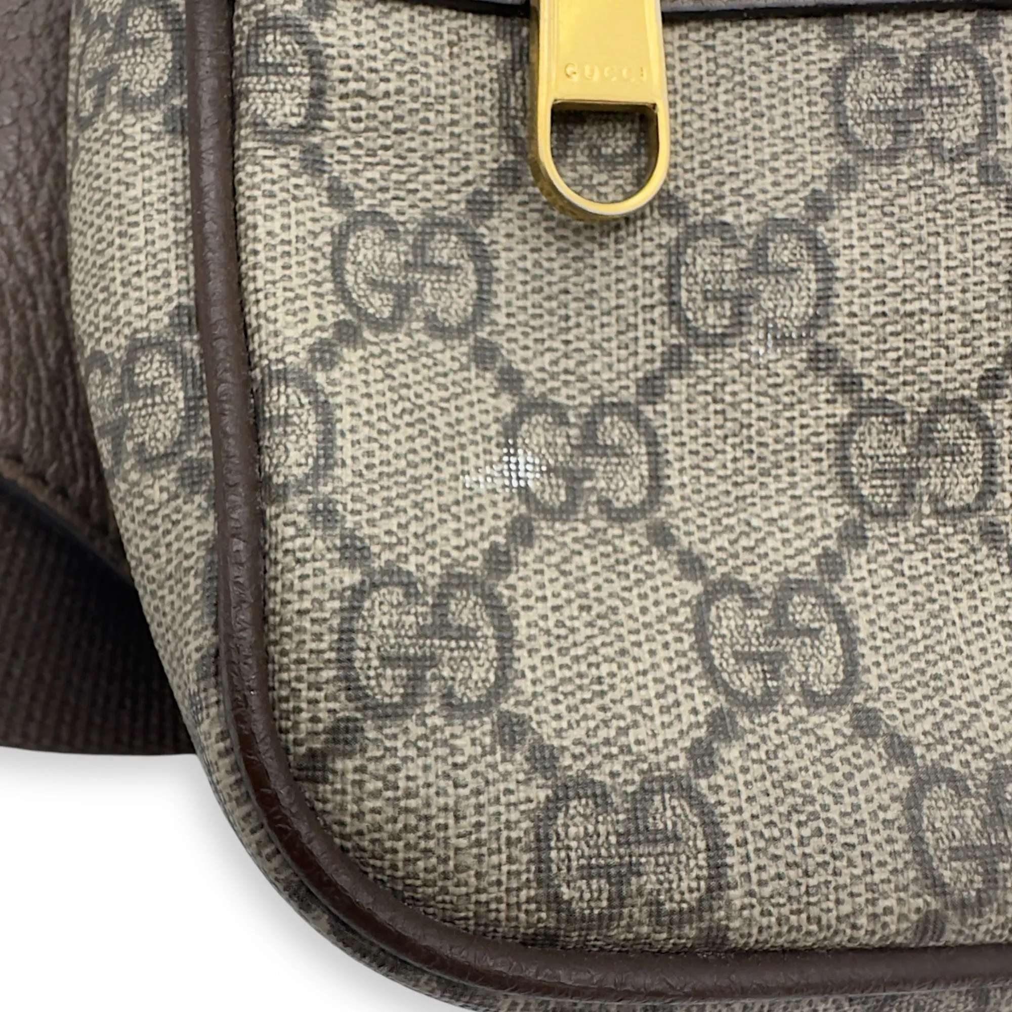 Ophidia Crossbody Bag Brown in Coated Canvas, Gold hardware