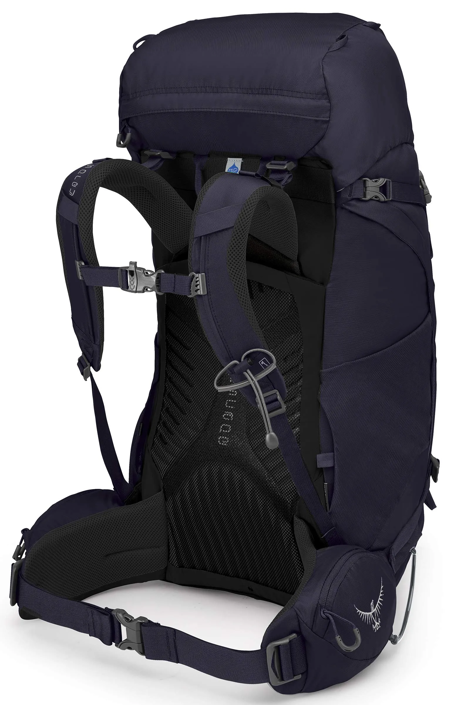 Osprey Packs Kyte 46 Women's Backpack, Mulberry Purple, WX/Small