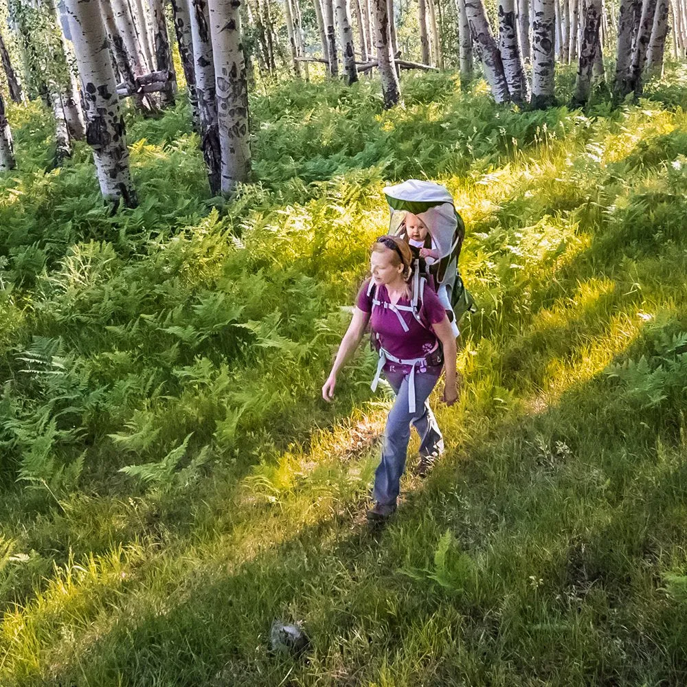 Osprey Packs Poco AG Plus Child Carrier, Ivy Green