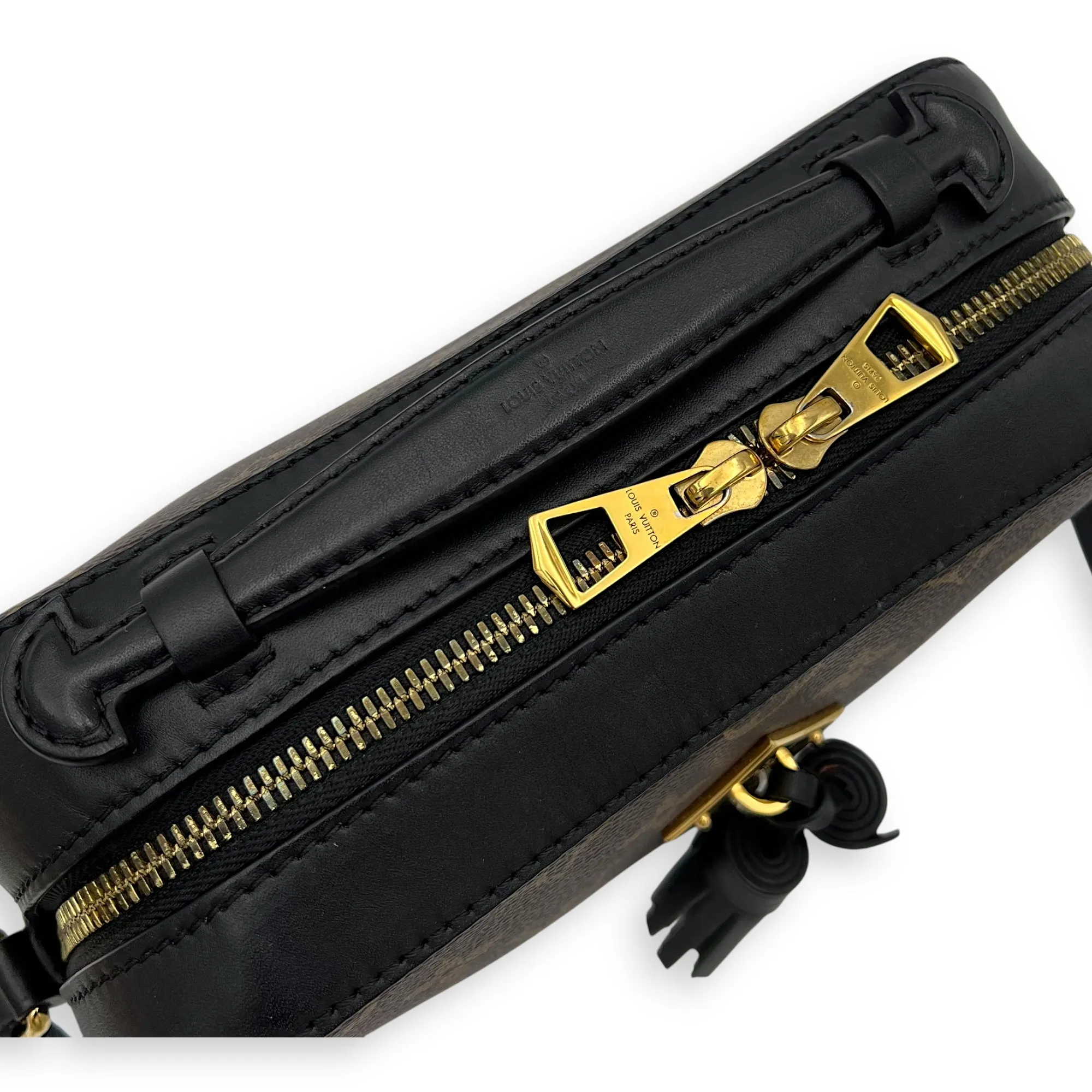 Saintonge Crossbody Bag Brown in Coated Canvas, Gold hardware