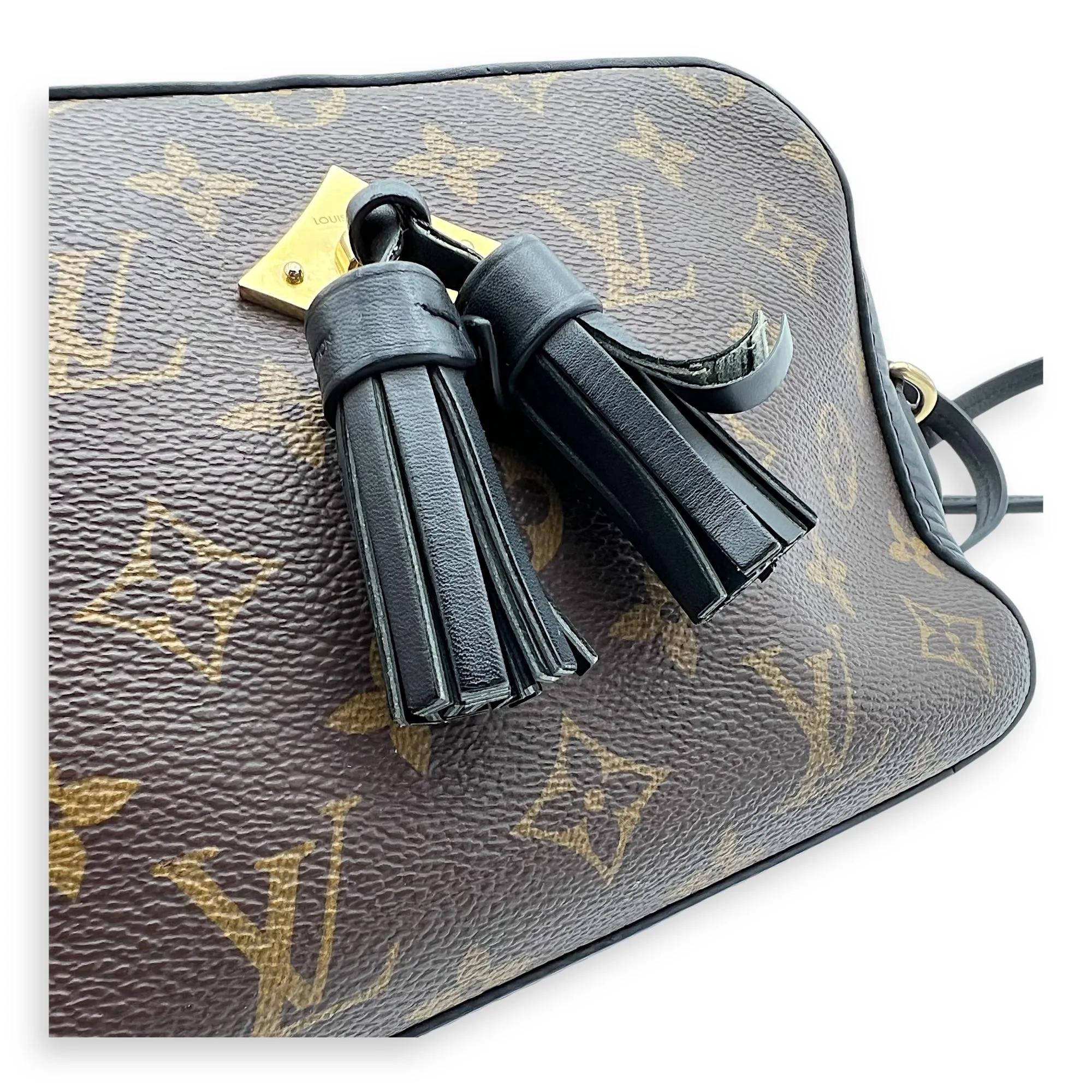 Saintonge Crossbody Bag Small Black in Monogram Coated Canvas, Gold hardware