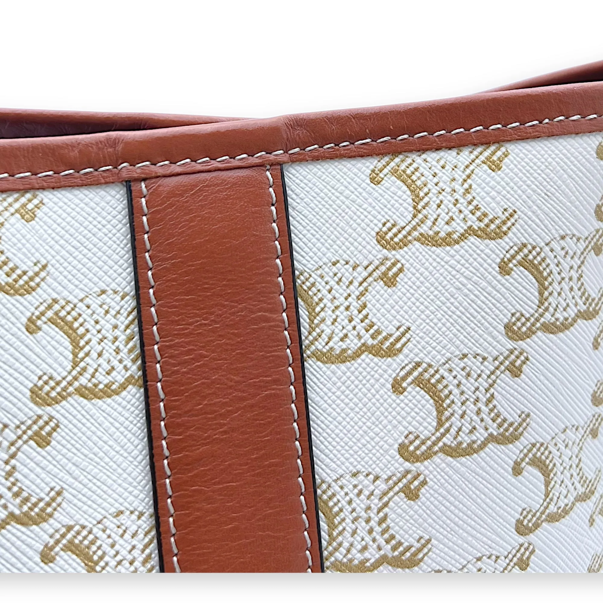 Triomphe Bucket Bag Brown in Coated Canvas, Gold hardware