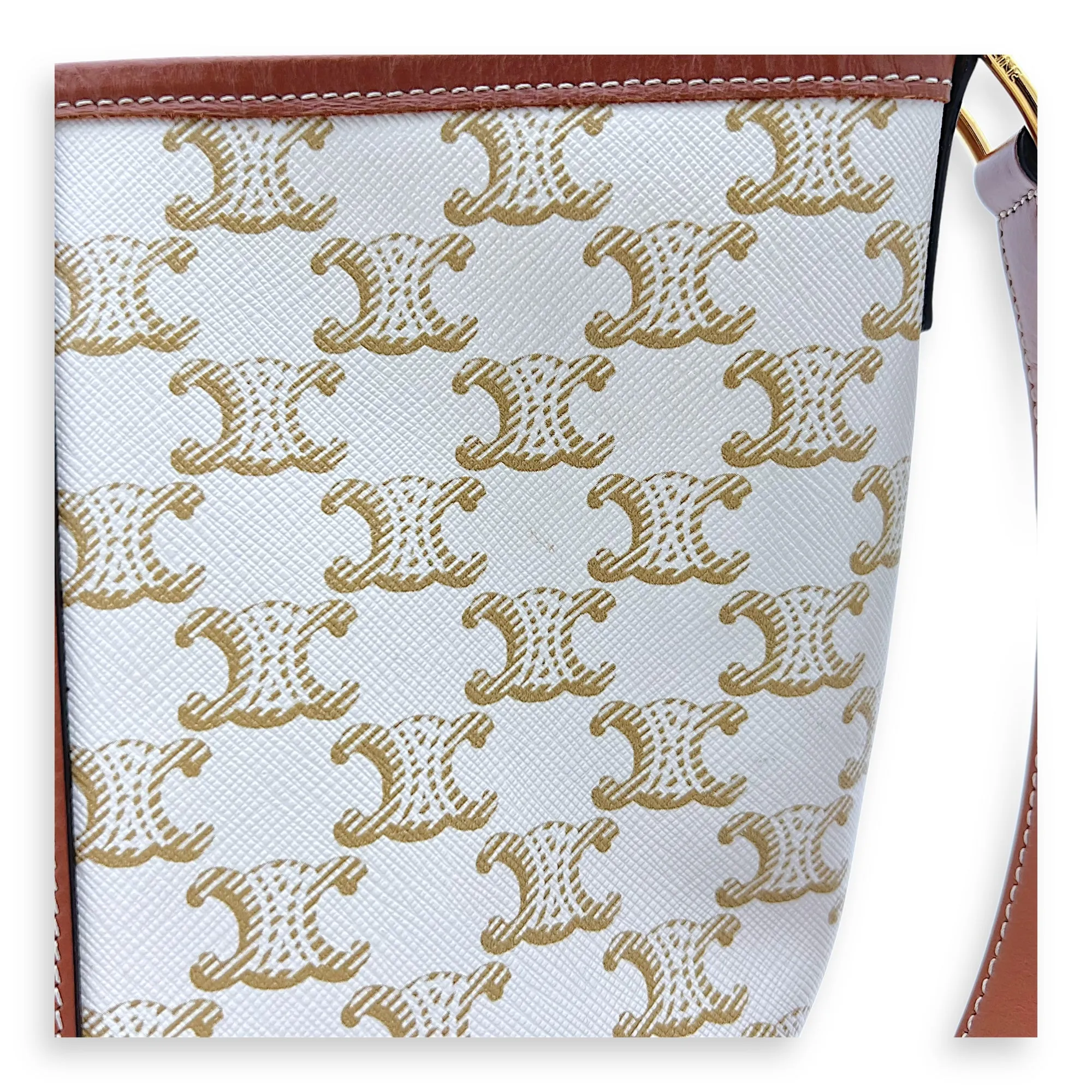Triomphe Bucket Bag Brown in Coated Canvas, Gold hardware